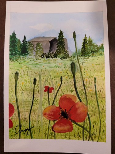 Picked up a watercolor piece that I had tossed aside after getting frustrated with it, and tried to nurse it back to health. ...