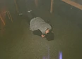 Updates's tag thumbnail
