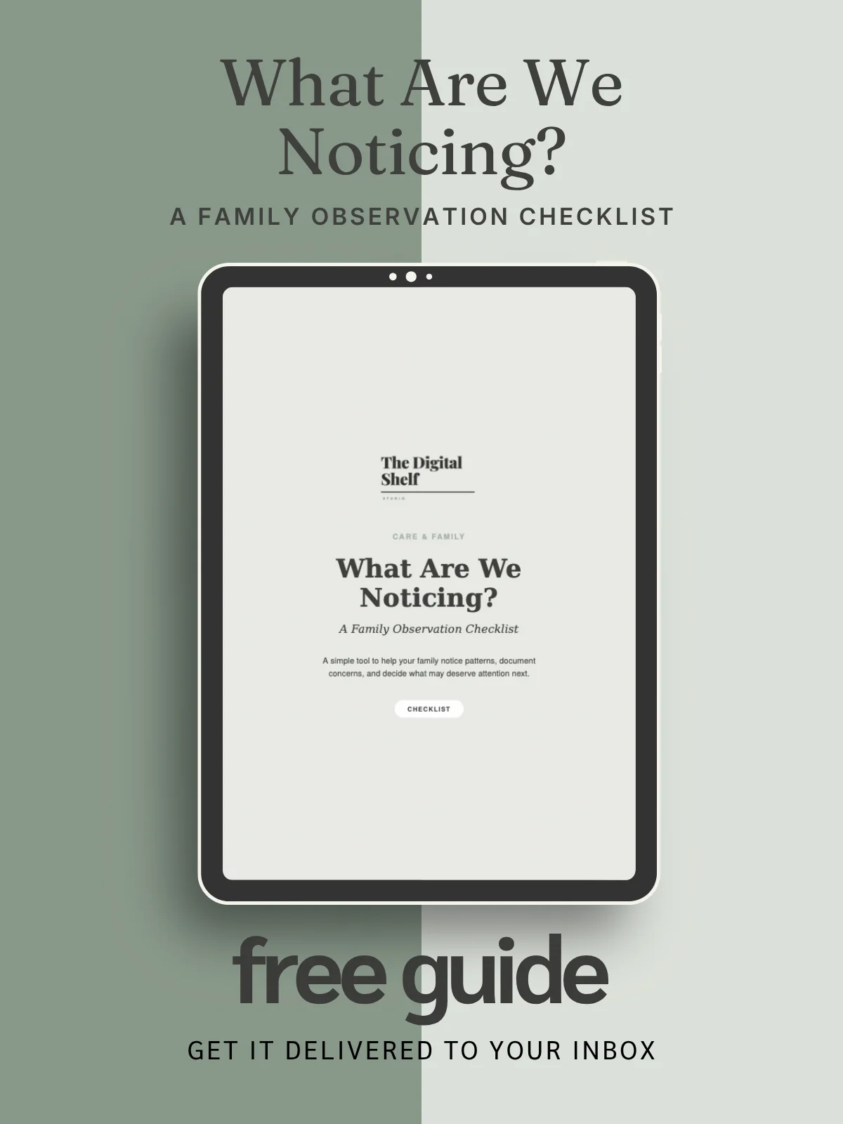 What Are We Noticing? — Family Observation Checklist product image (1)
