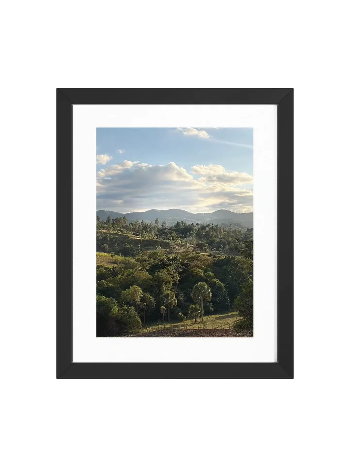 Hills and Palm Tree Framed Art Print product image (3)