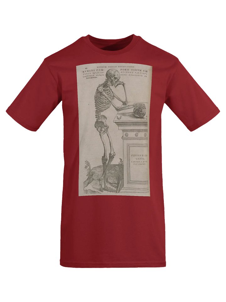 "Skeleton Pondering Mortality" by Andreas Vesalius. product image (2)
