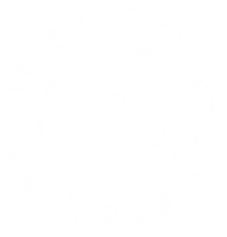 Down2ShineDetailing
