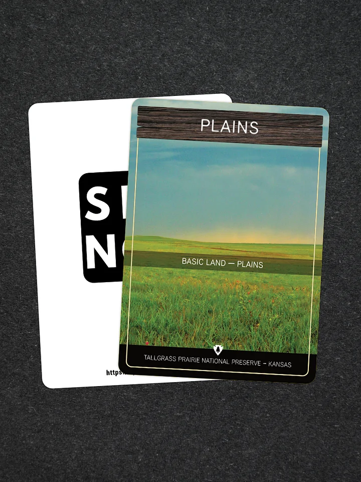 National Park & Forest Basic Land Proxies - Plains (5 Pack) product image (1)