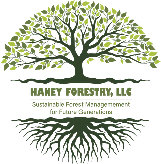 Haney Forestry
