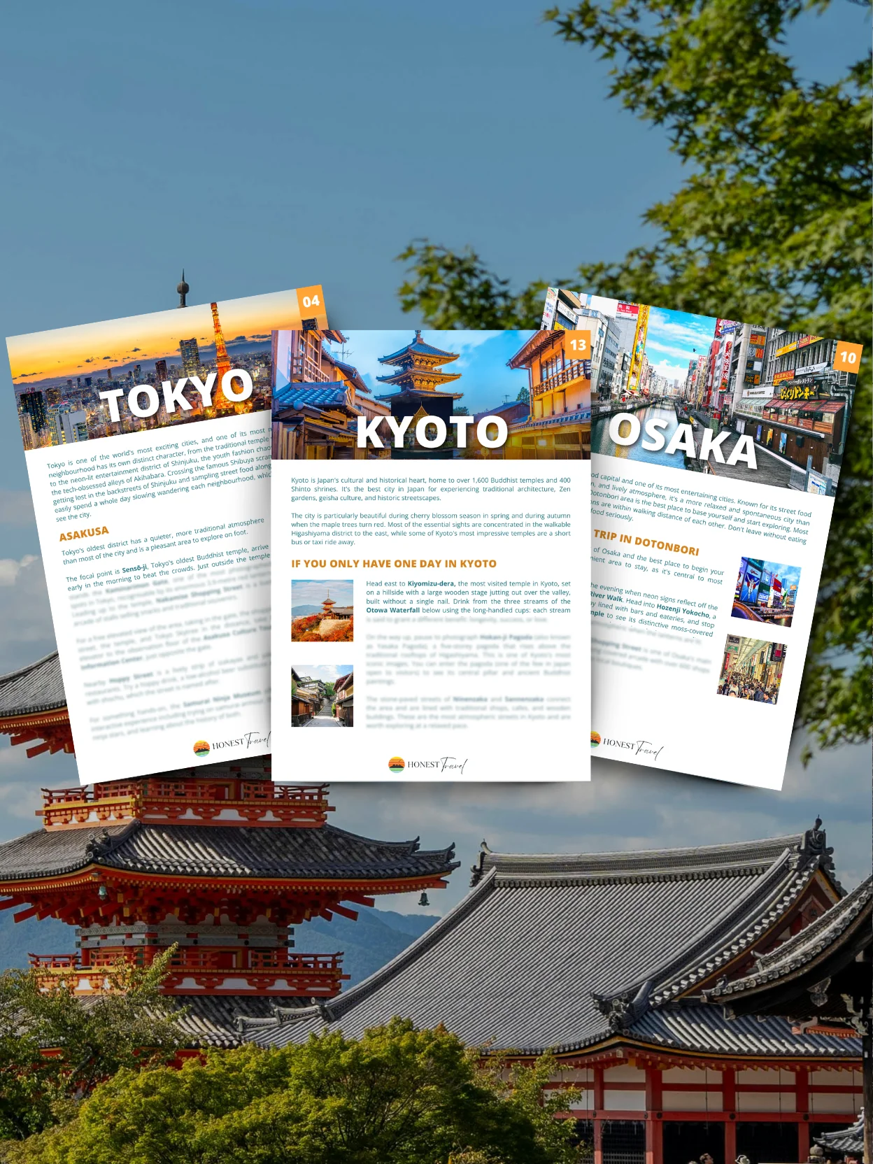 JAPAN Map & Guide for Easy Trip Planning (100+ Map Pins) product image (4)