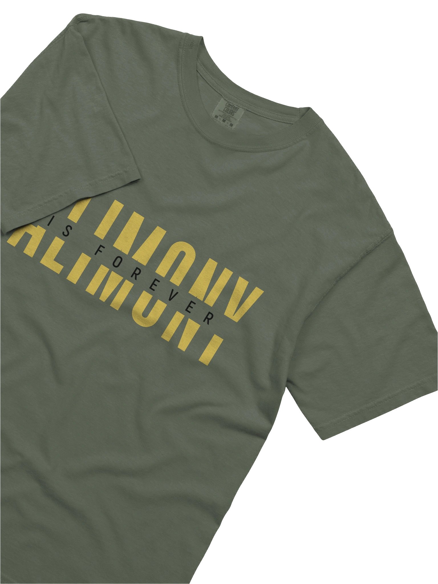 Alimony Is Forever Tee product image (3)