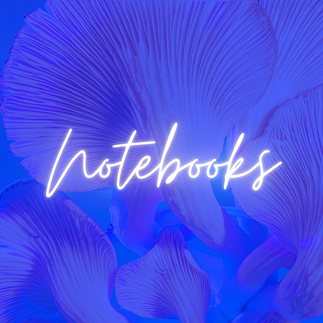 Notebooks