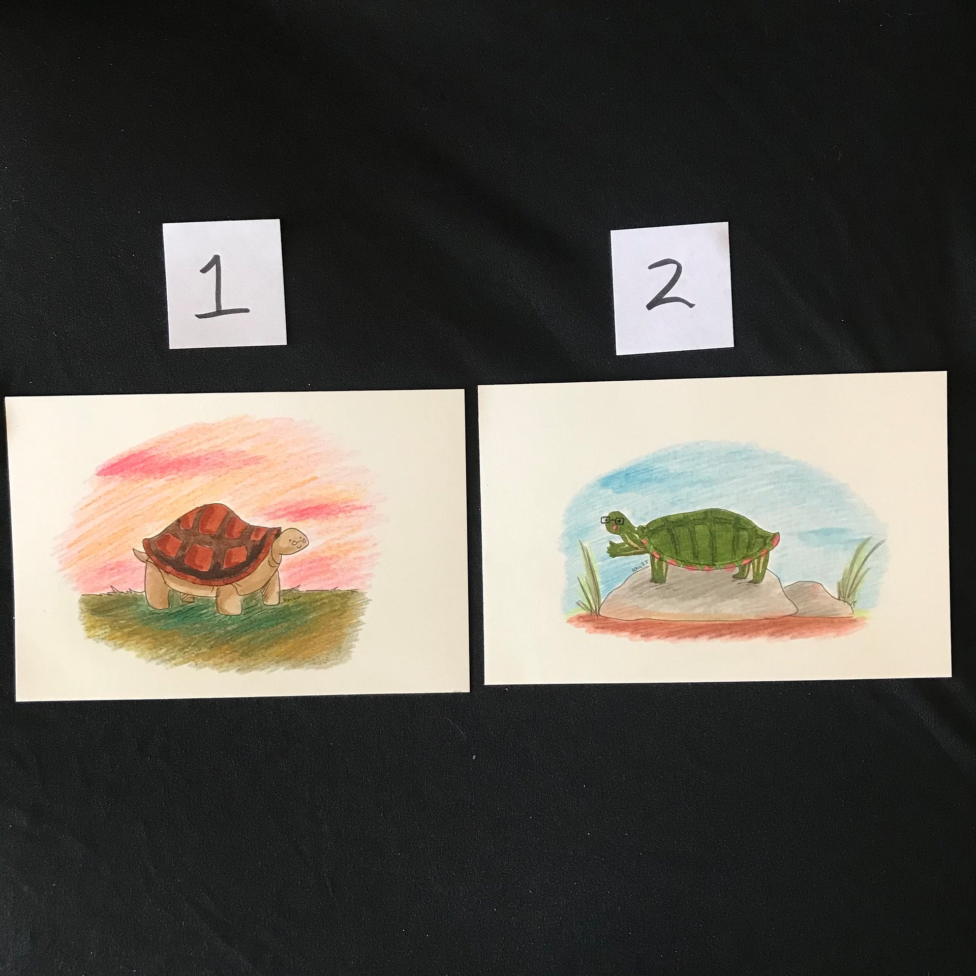 Turtles with Glasses Original Marker Illustrations product image (2)