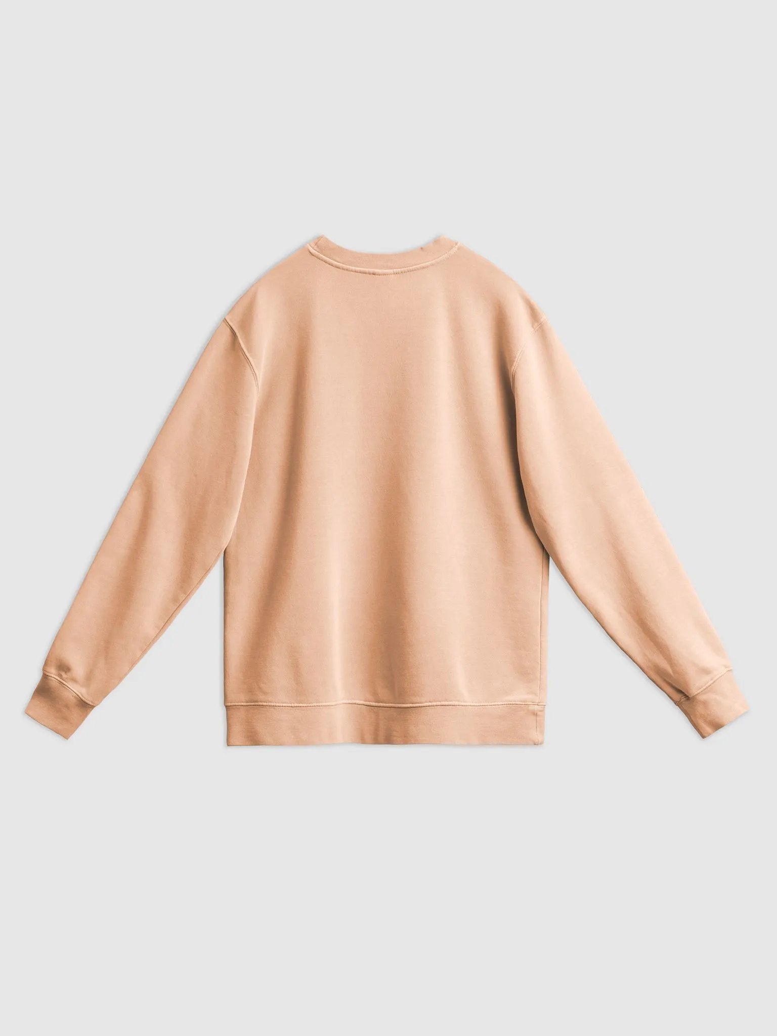 DW, IT'S DIAGNOSED. (#A6073C) printed pigment crewneck product image (6)