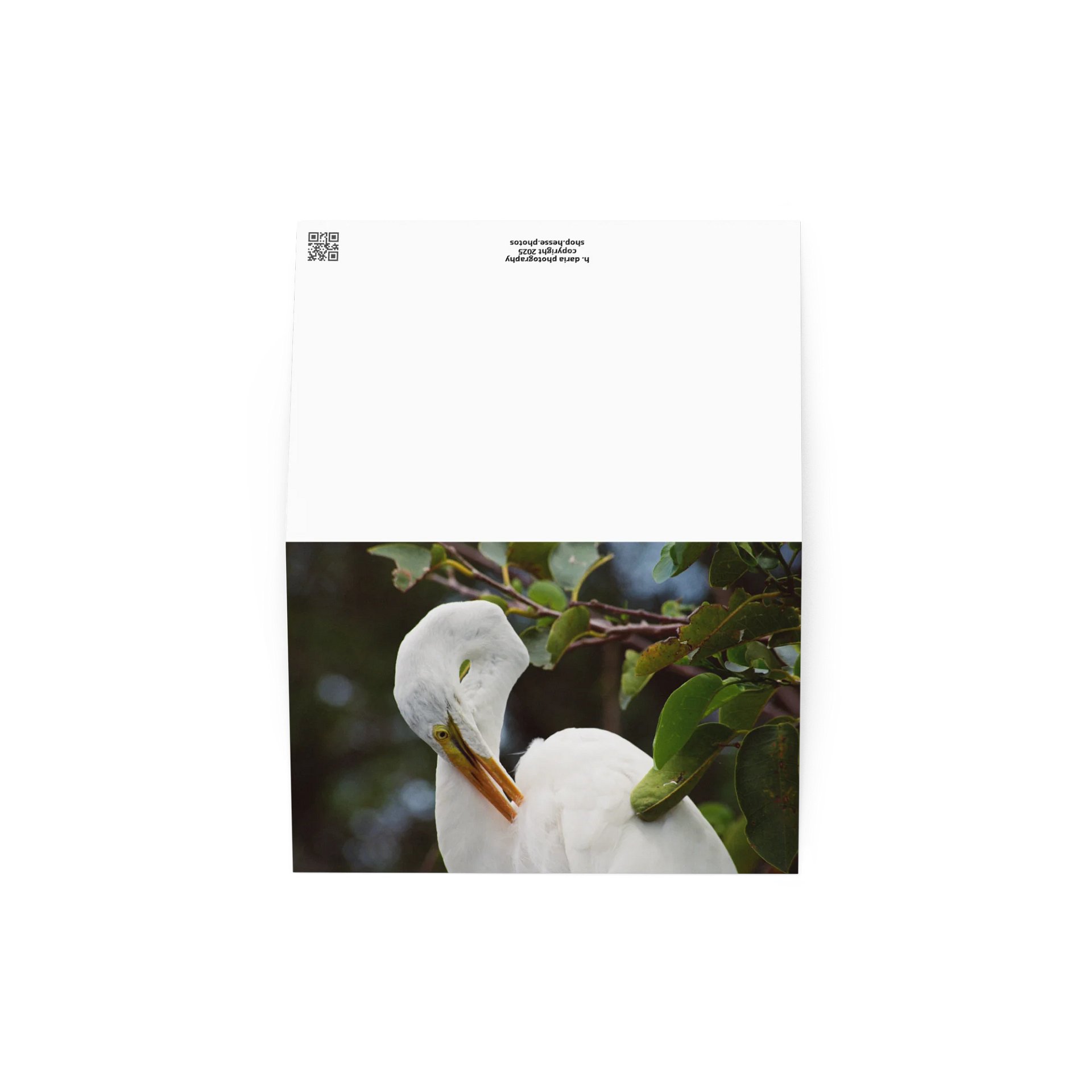 Egret "Postcard" product image (4)