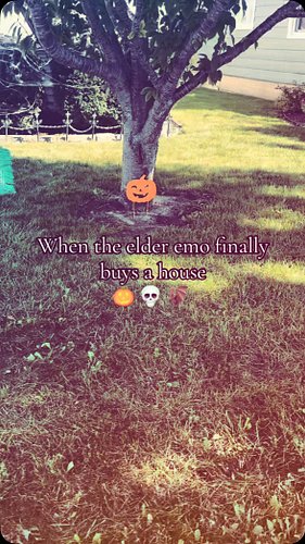 It begins!! #halloween #decoration #firsthouse