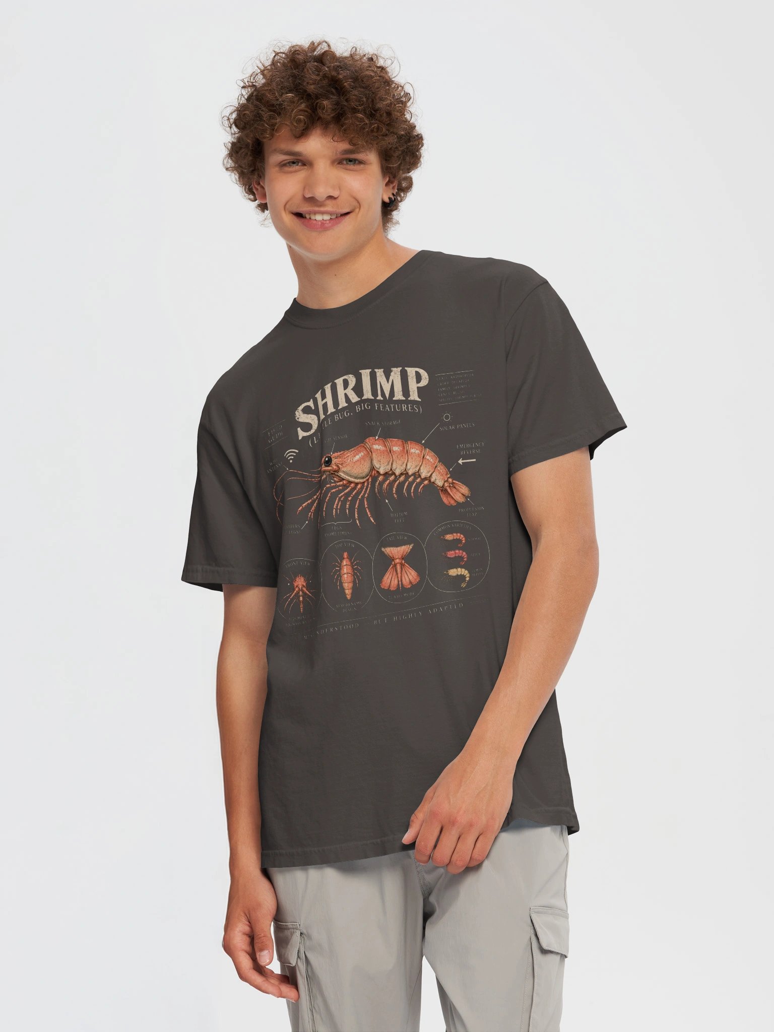 Anatomy of a Shrimp product image (3)