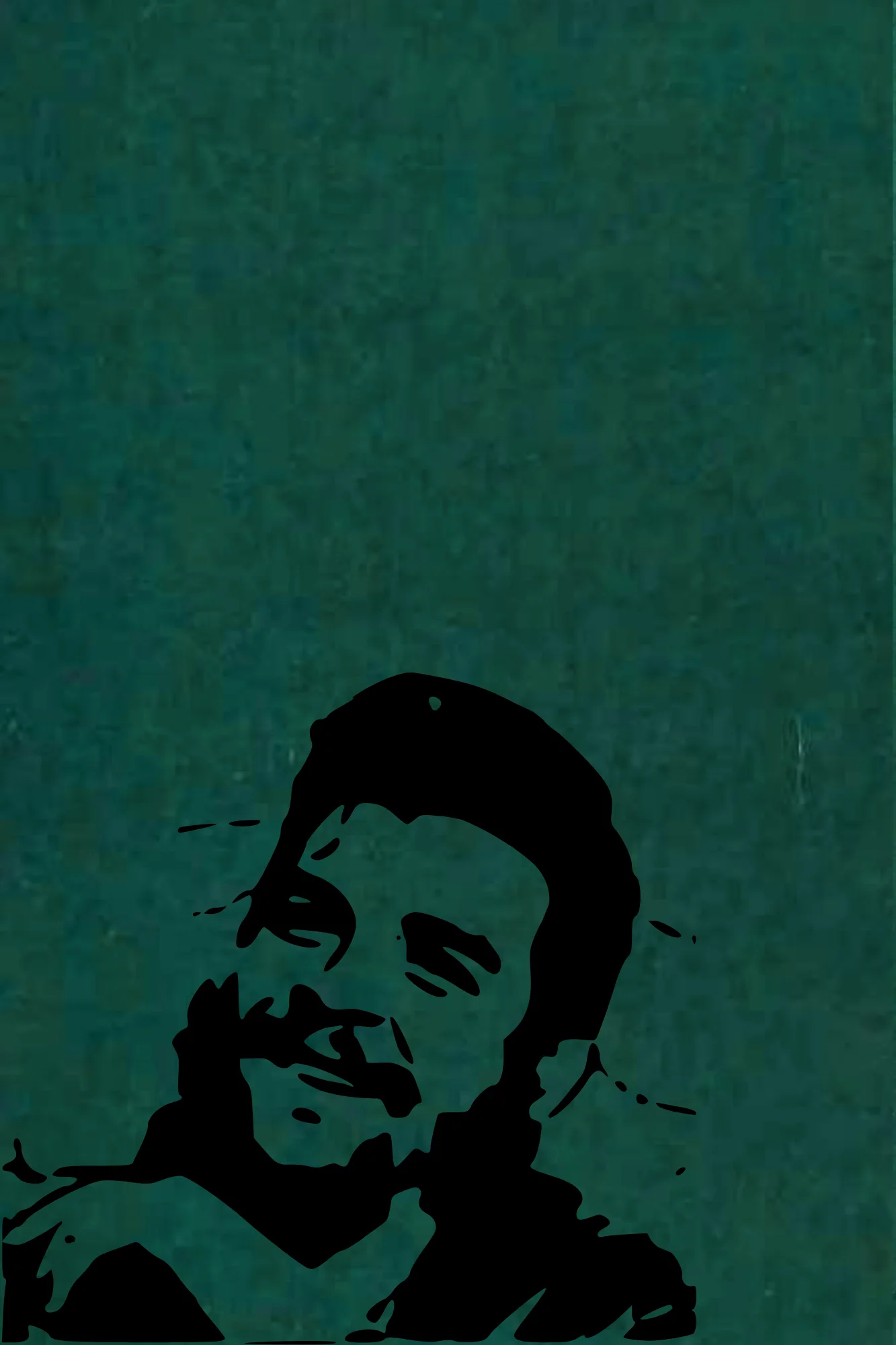 Che Guevara: Revolutionary & Icon product image (2)