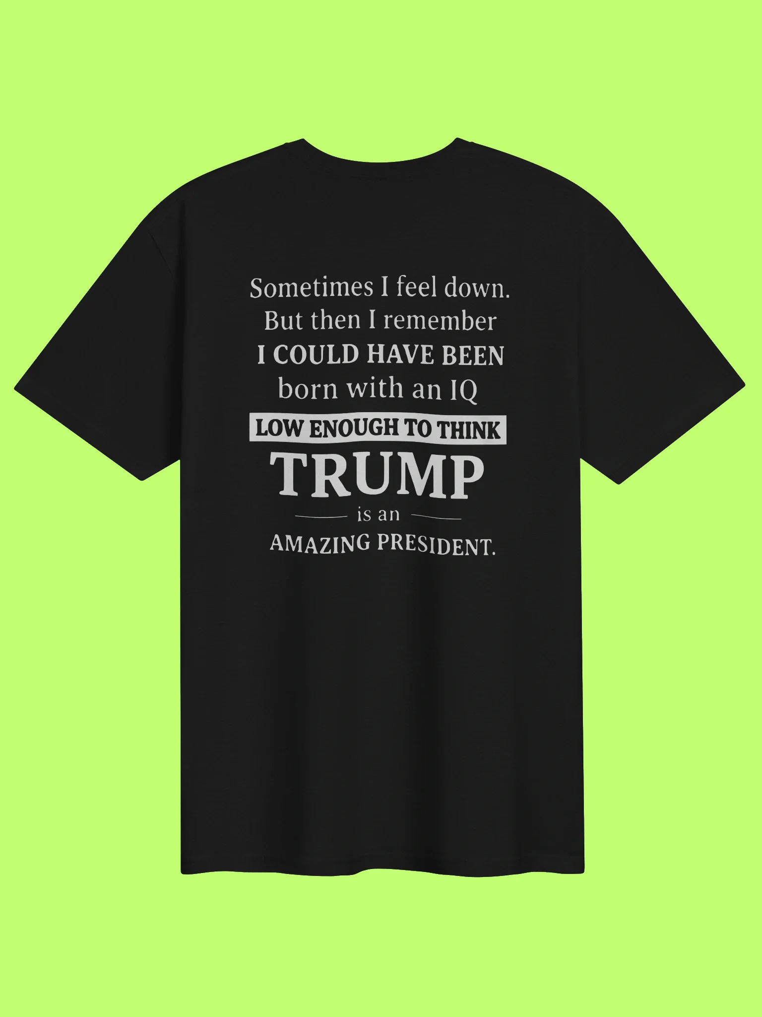 Sometimes I Feel Down I Could Have Been Trump Shirt product image (152)