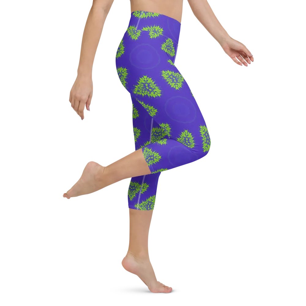 Shape Spectrum Capri Leggings product image (3)