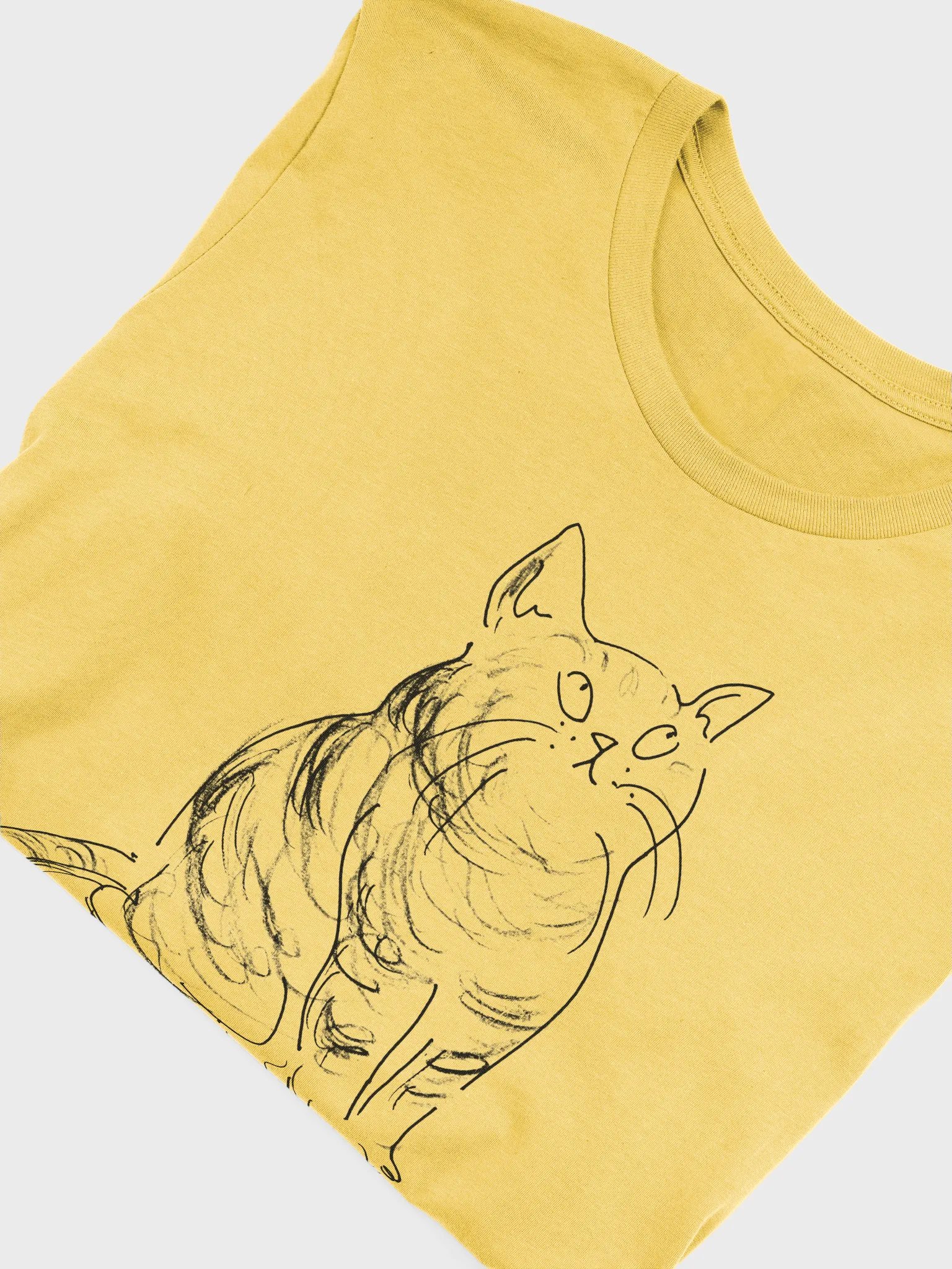 Meow-nagement (Striped Feline Stylized T-Shirt) product image (35)
