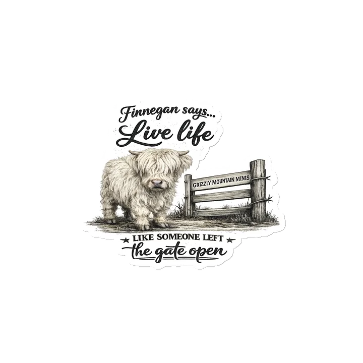 Finnegan Says… Live Life Magnet Collection product image (2)