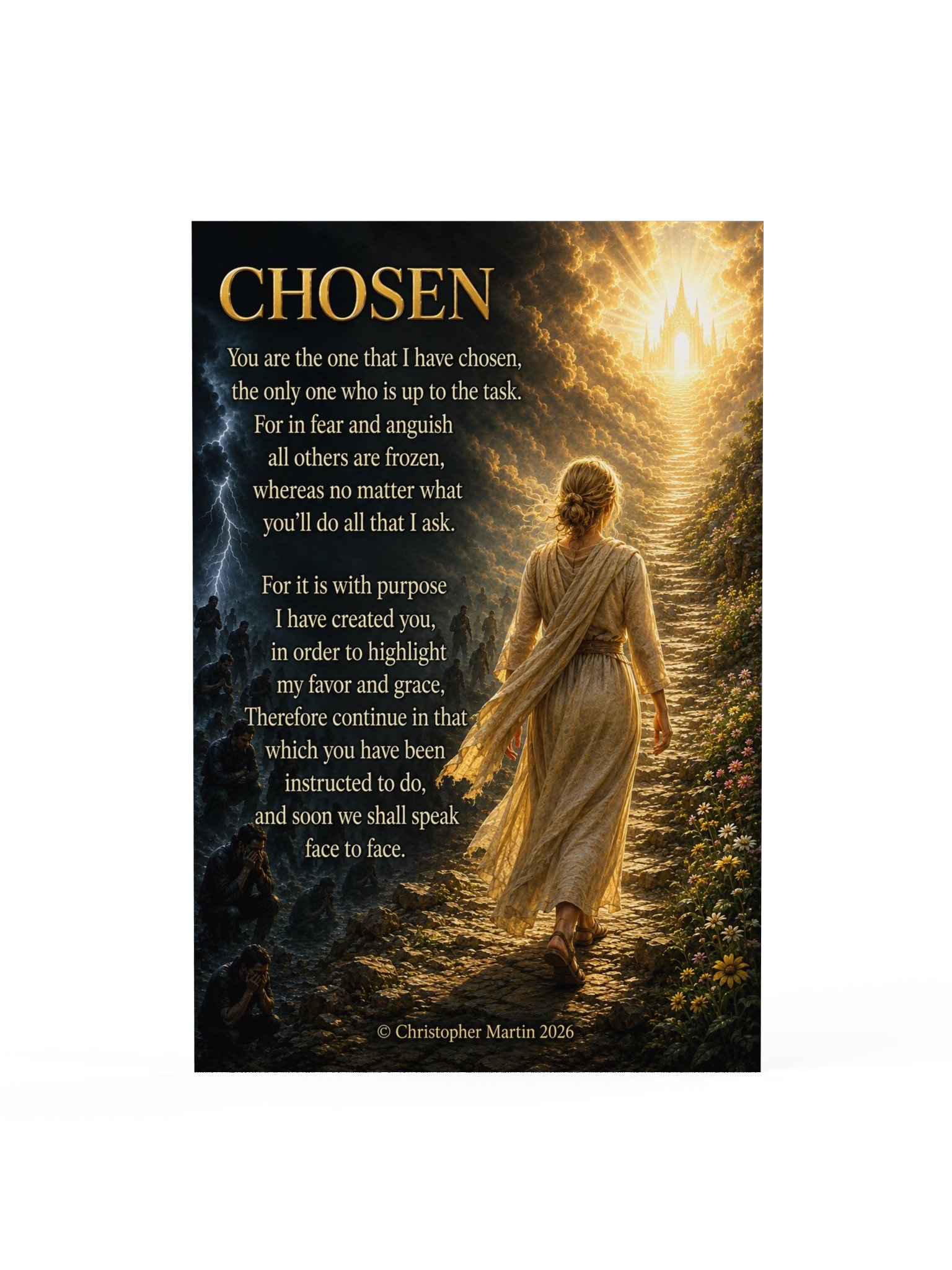 Chosen product image (1)