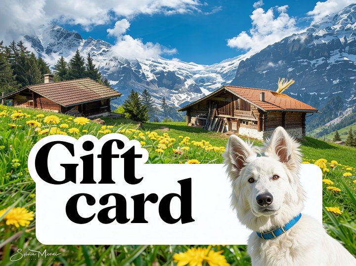 Gift Card product image (1)