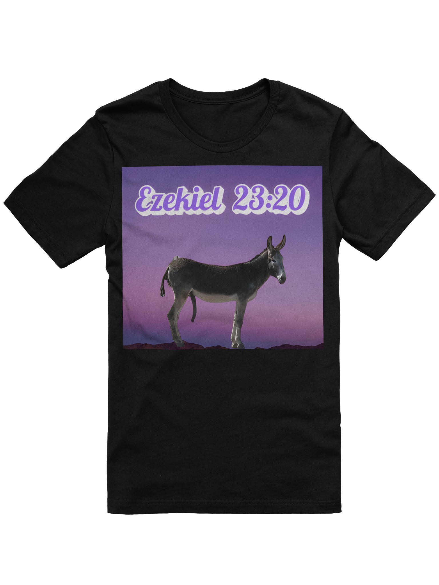 Ezekiel 23:20 Tee Shirt product image (1)