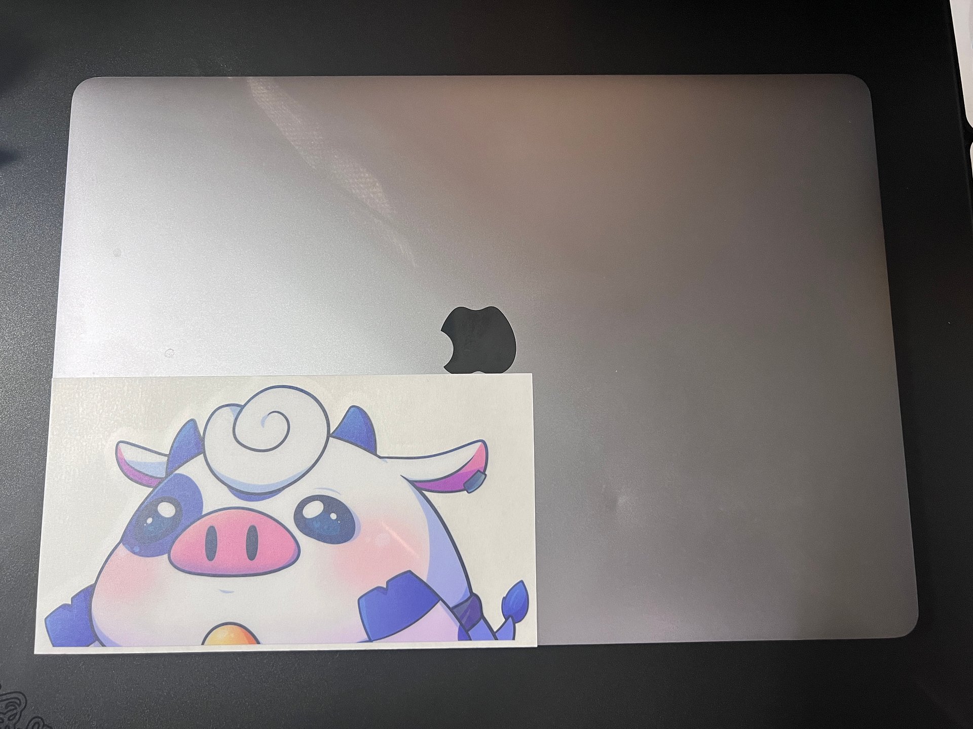 Zodiac Cow - Peeker product image (3)