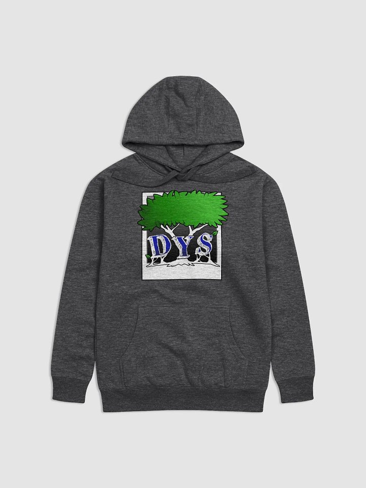 DYS Hoodie product image (2)