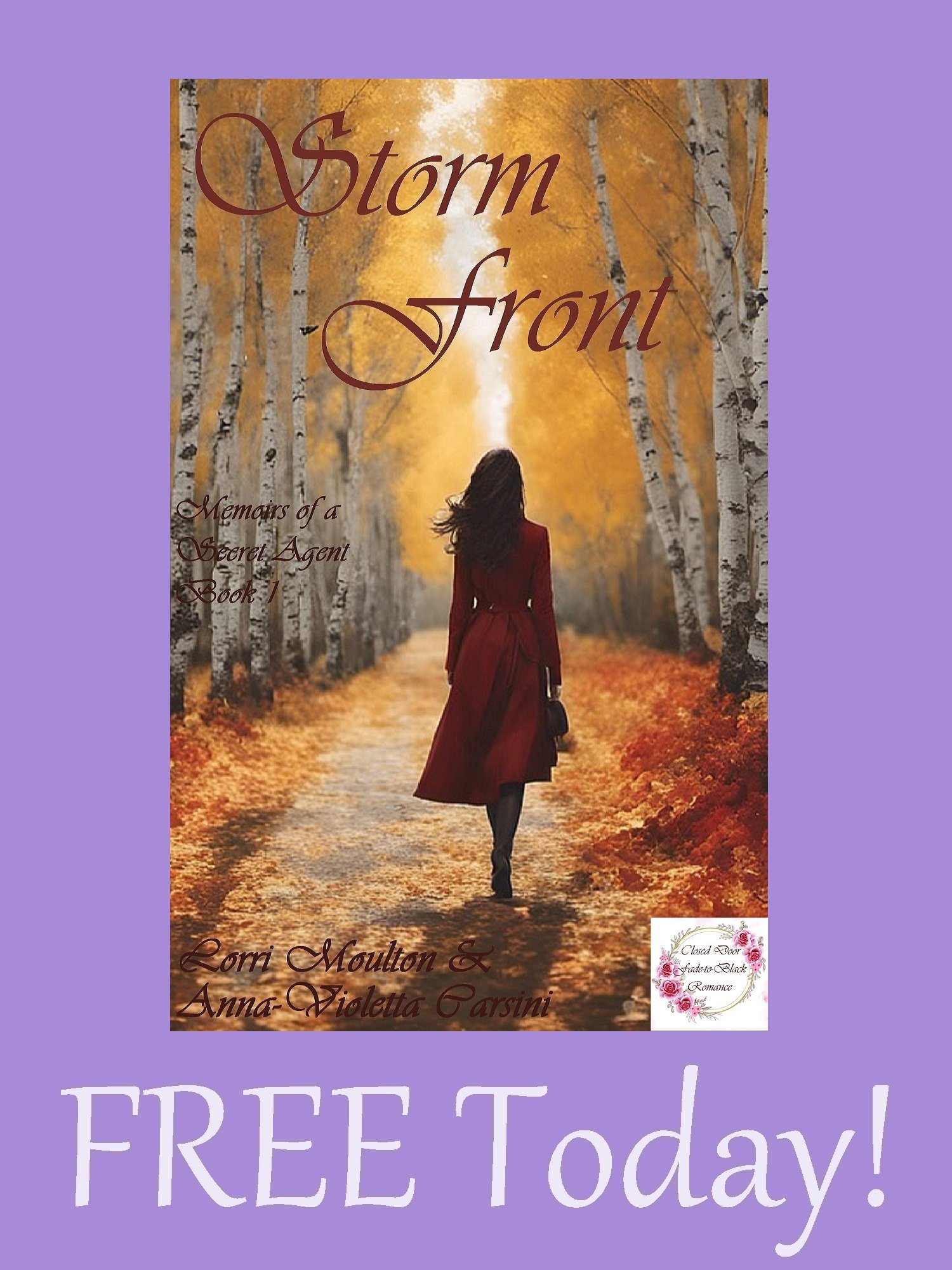 Storm Front: Memoirs of a Secret Agent EBOOK - FREE Today! product image (1)