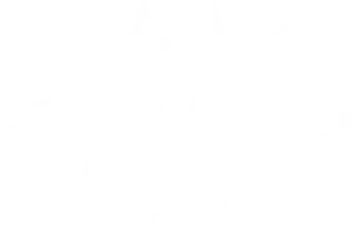 WSTDFUTURE