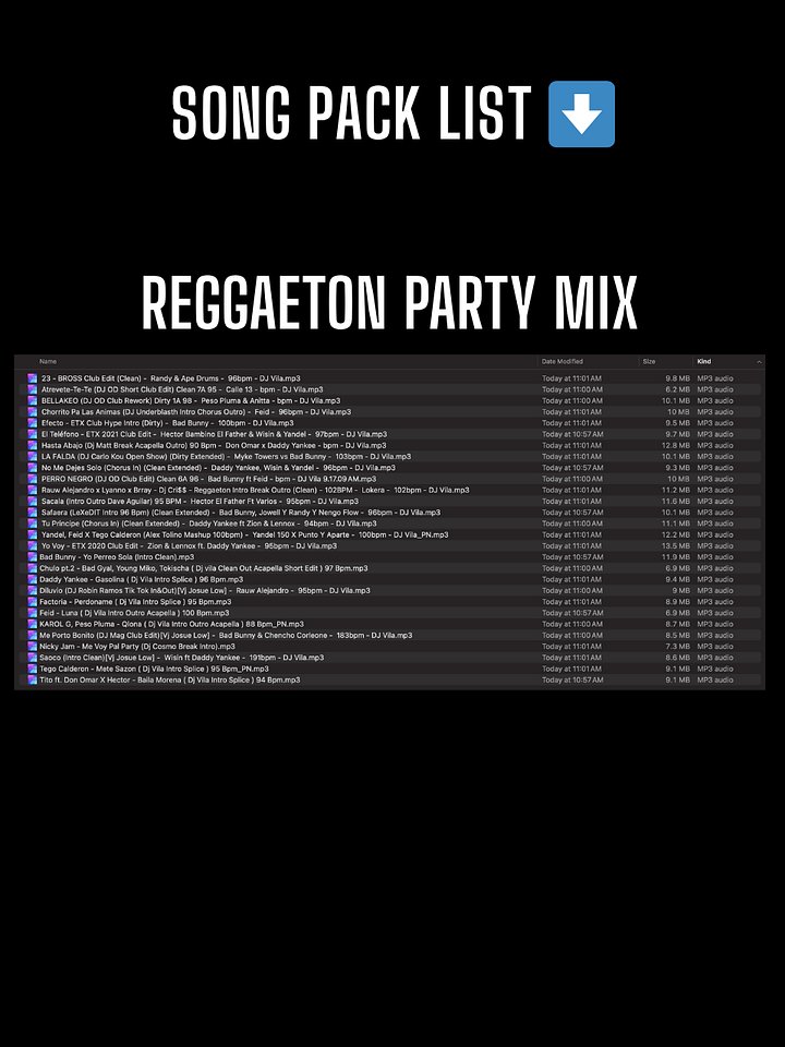 Reggaeton Party Mix – Song Pack product image (2)