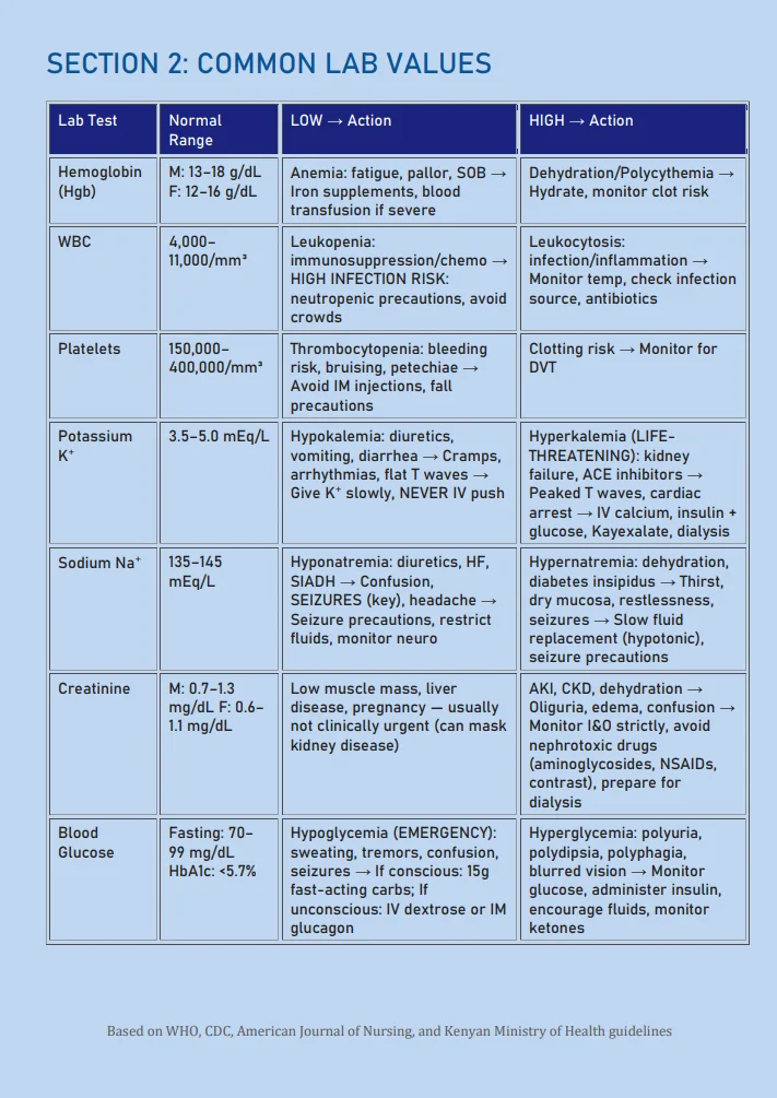 LIMEMBER: Nursing Guide + NCLEX Cheat Sheet Bundle product image (3)