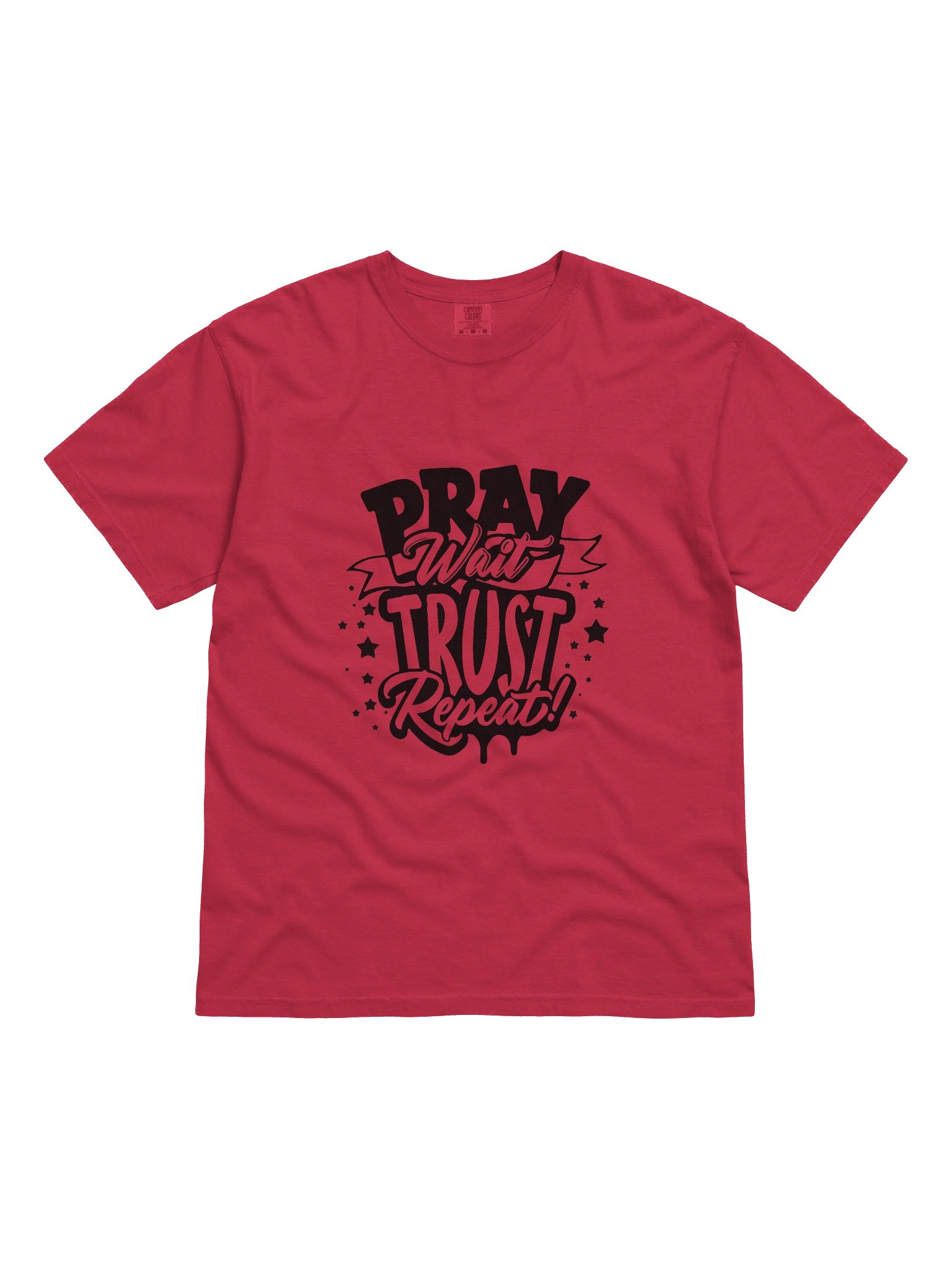 Pray, Wait, Trust, Repeat T-Shirt product image (6)