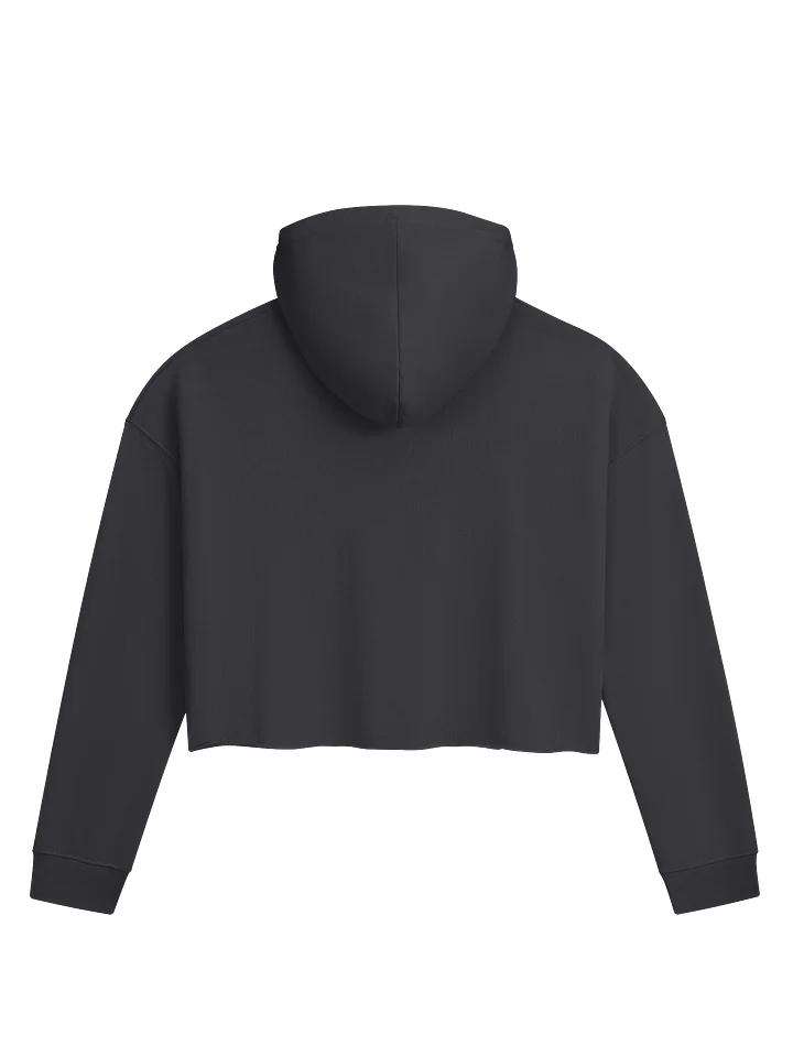 FREEDOM CROPPED HOODIE product image (2)