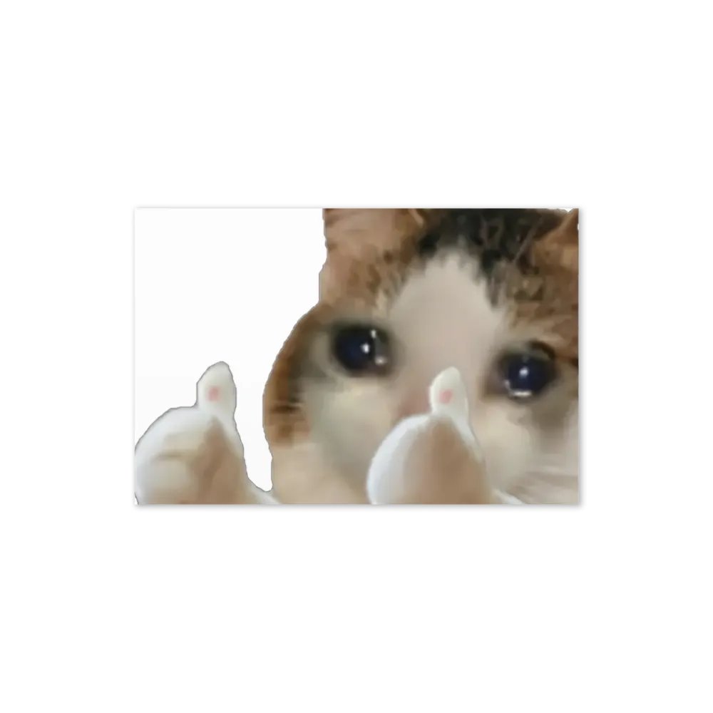 Greeting Card: Meme Cats product image (22)