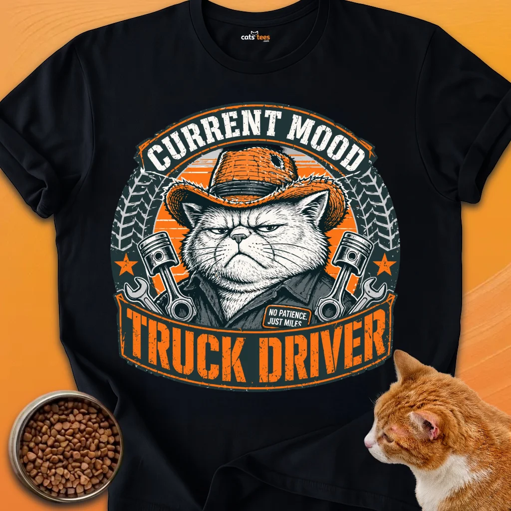 Truck Driver product image (1)
