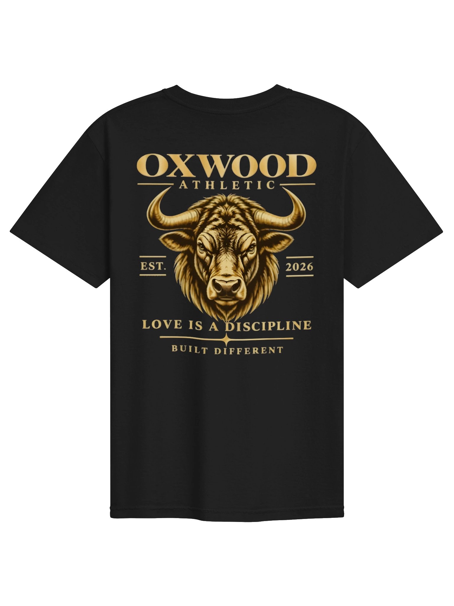 OXWOOD ATHLETIC GARMENT-DYED TEE product image (6)