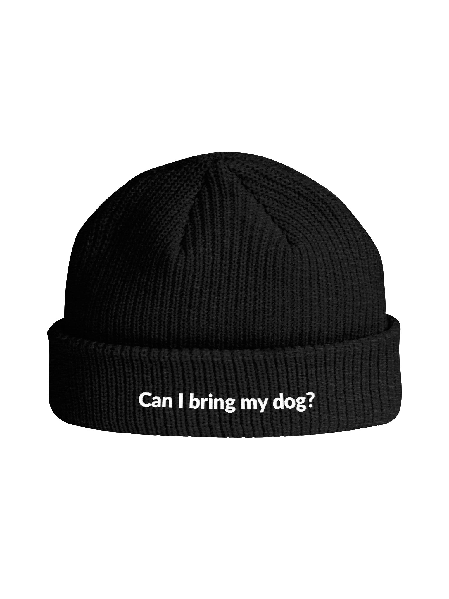 Can I Bring My Dog? Fisherman Beanie product image (6)