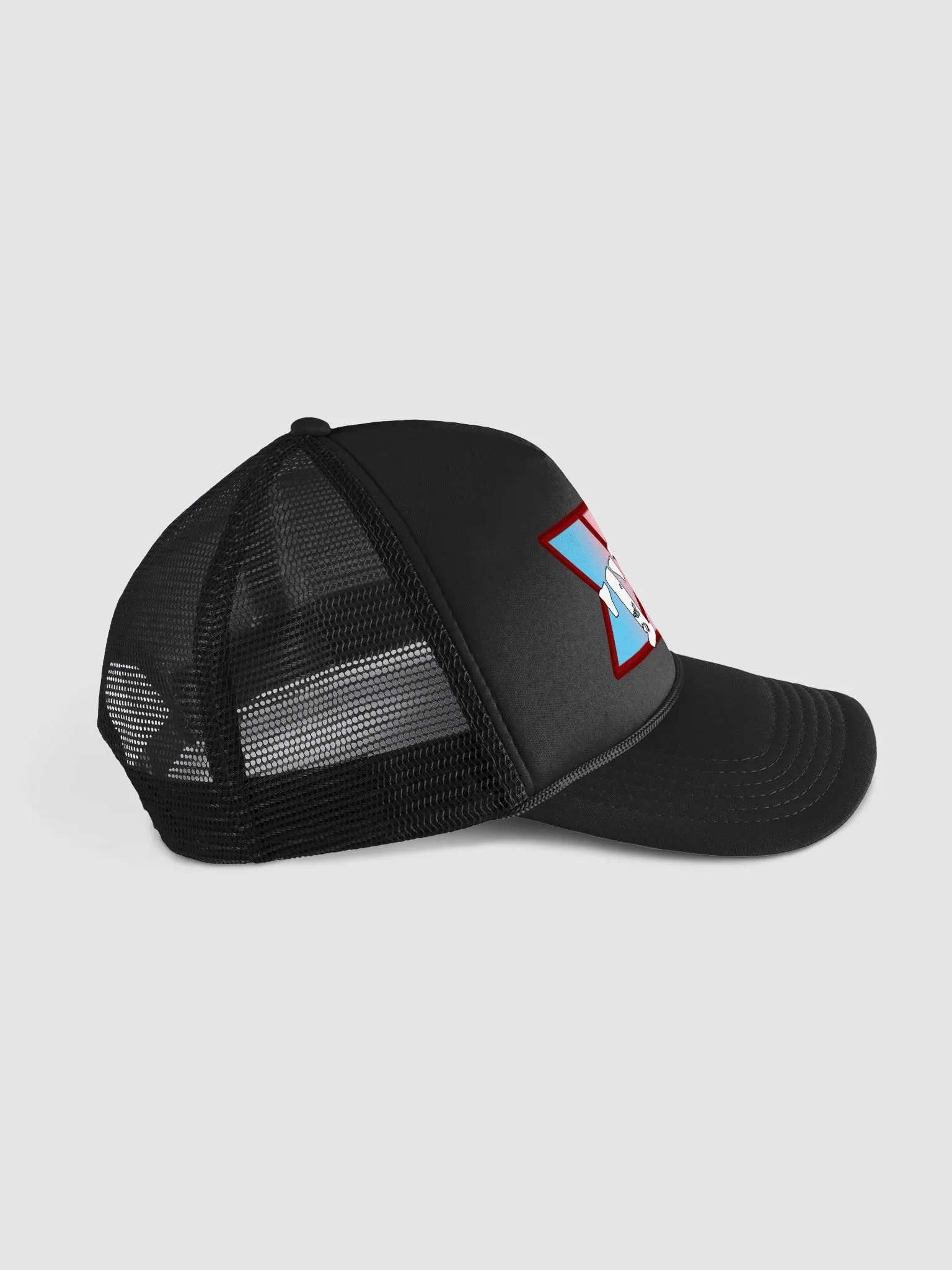 Trans Pride TDP Trucker Hat product image (3)
