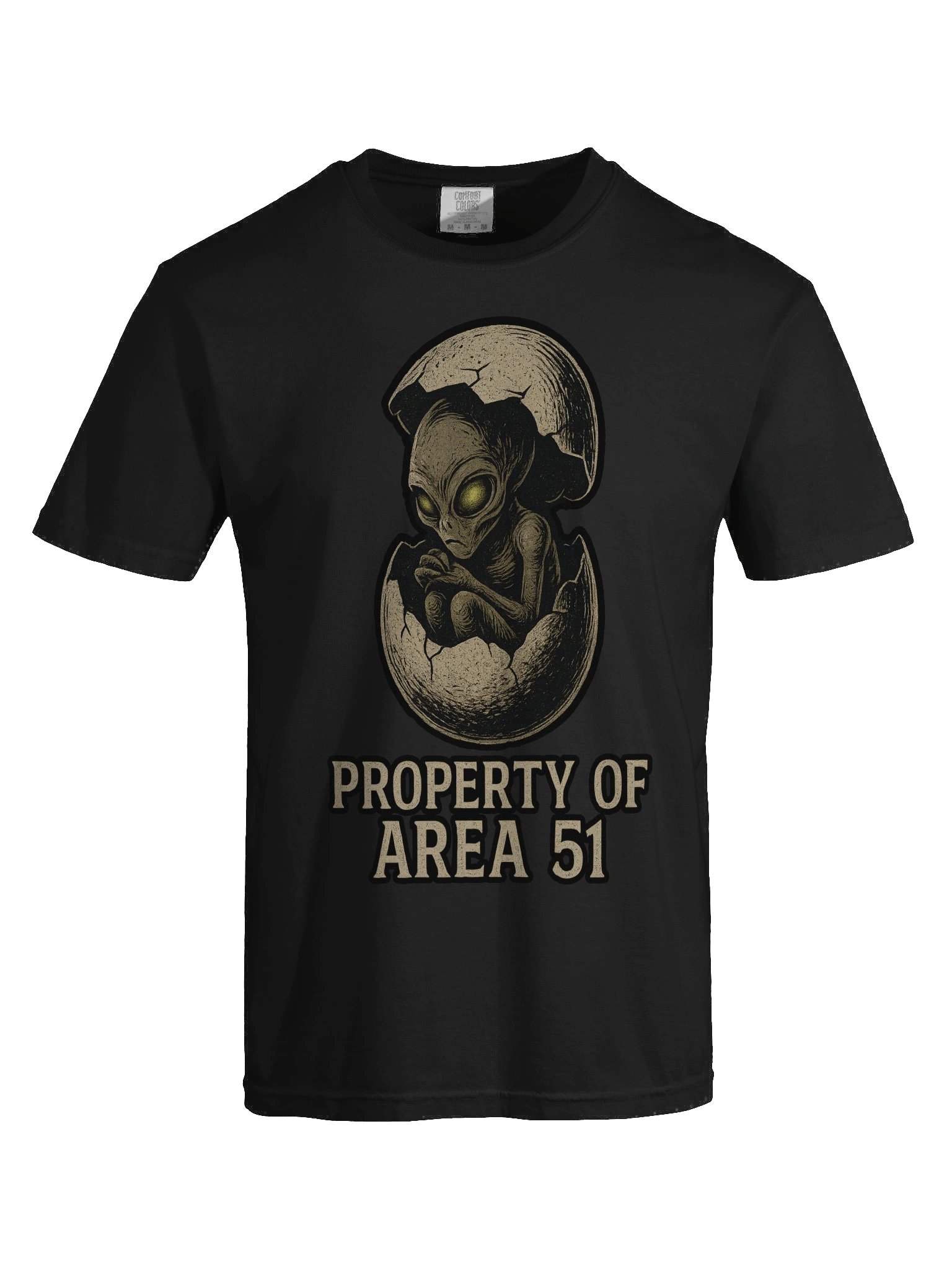 Property of Area 51 Tee product image (7)
