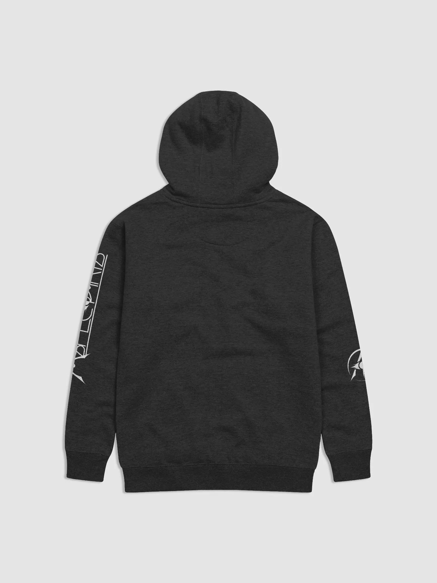 VOL. 0 ALBUM ART HOODIE product image (2)