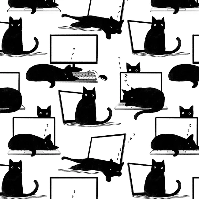 Cats Sleeping on Laptops