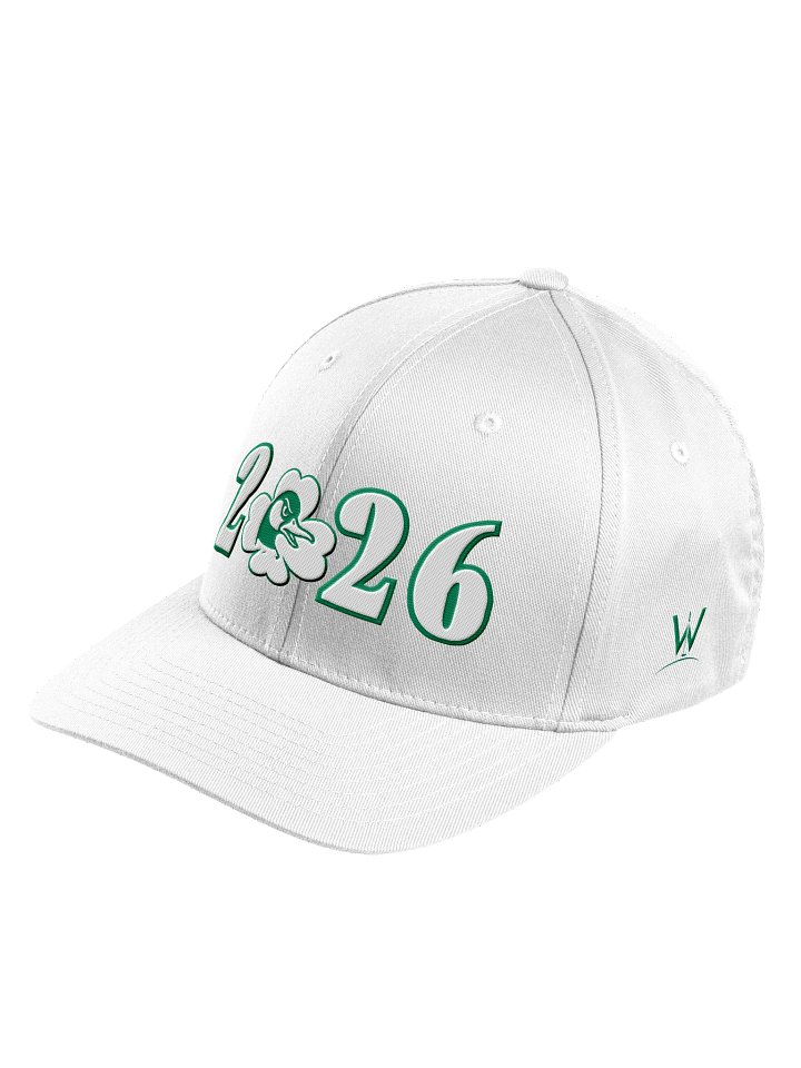 Honk St Patrick's 2026 Flex Fit product image (2)