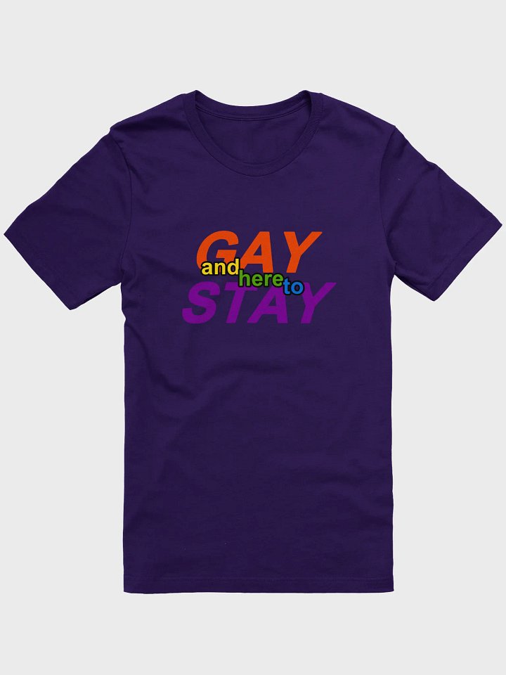 gay and here to stay (rainbow) t-shirt product image (1)