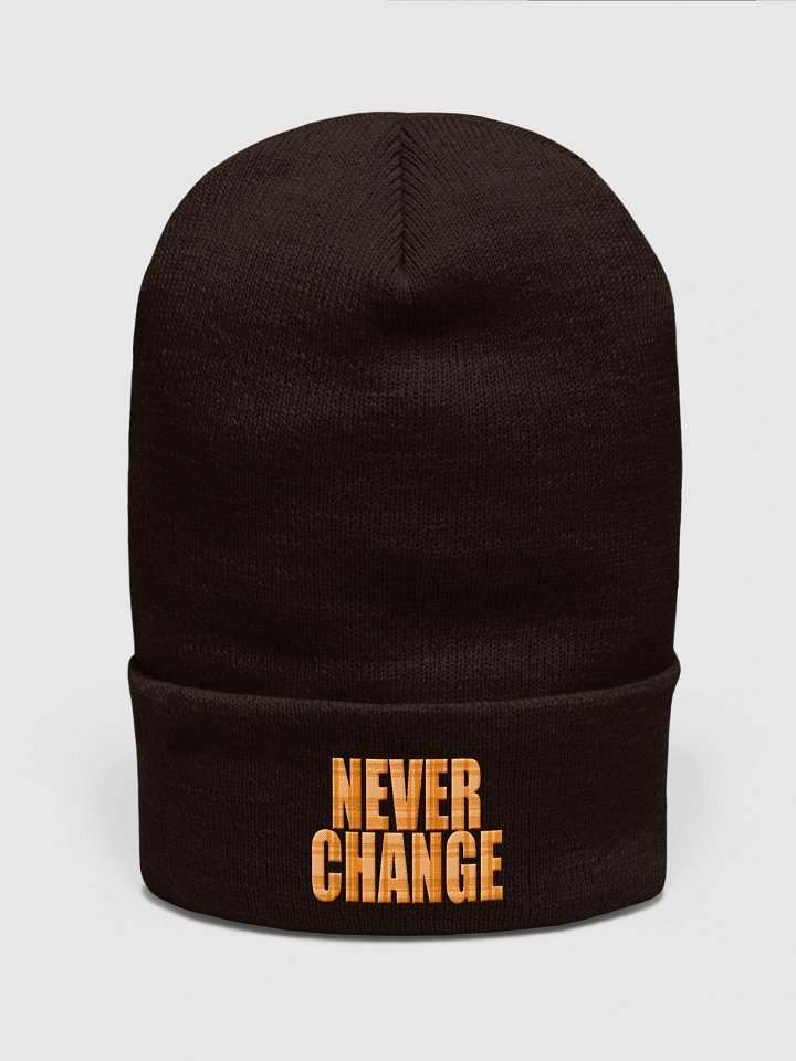 Never Change Beanie product image (6)