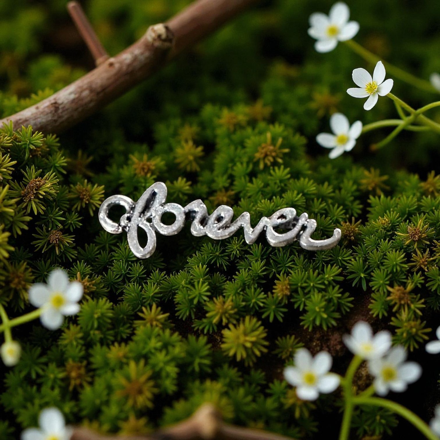 Forever Silver Whinny Winners Braid and Bridle Charms for Horses | Little Shop of Ponies product image (1)