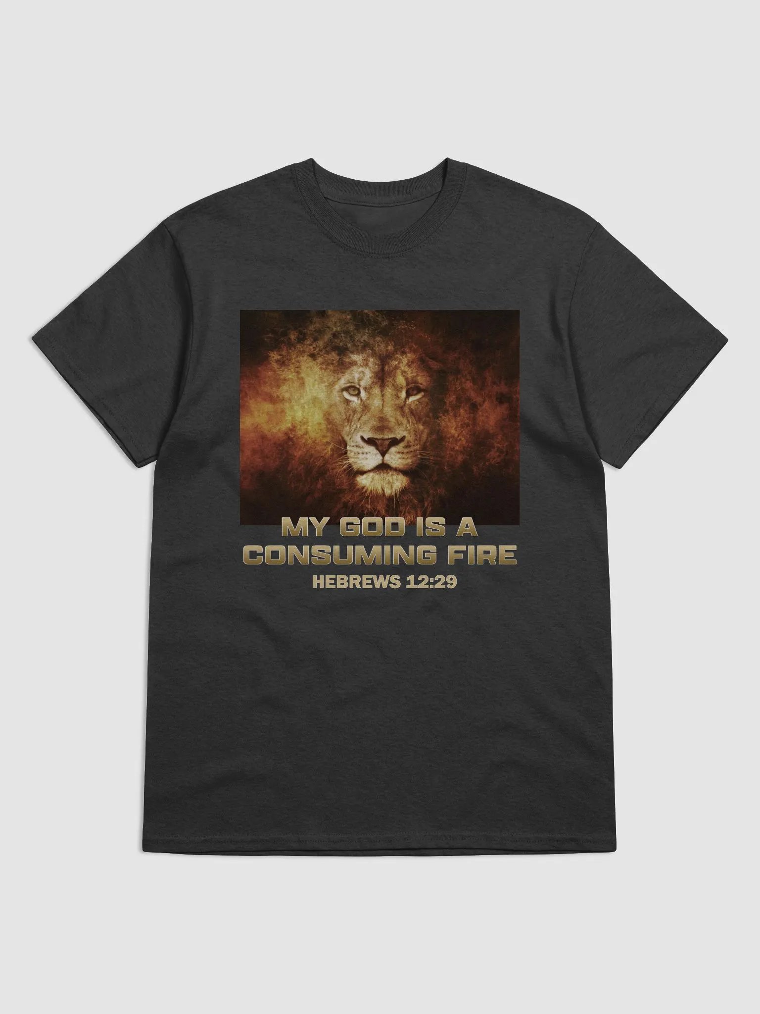 My God Is A Consuming Fire T-Shirt product image (1)