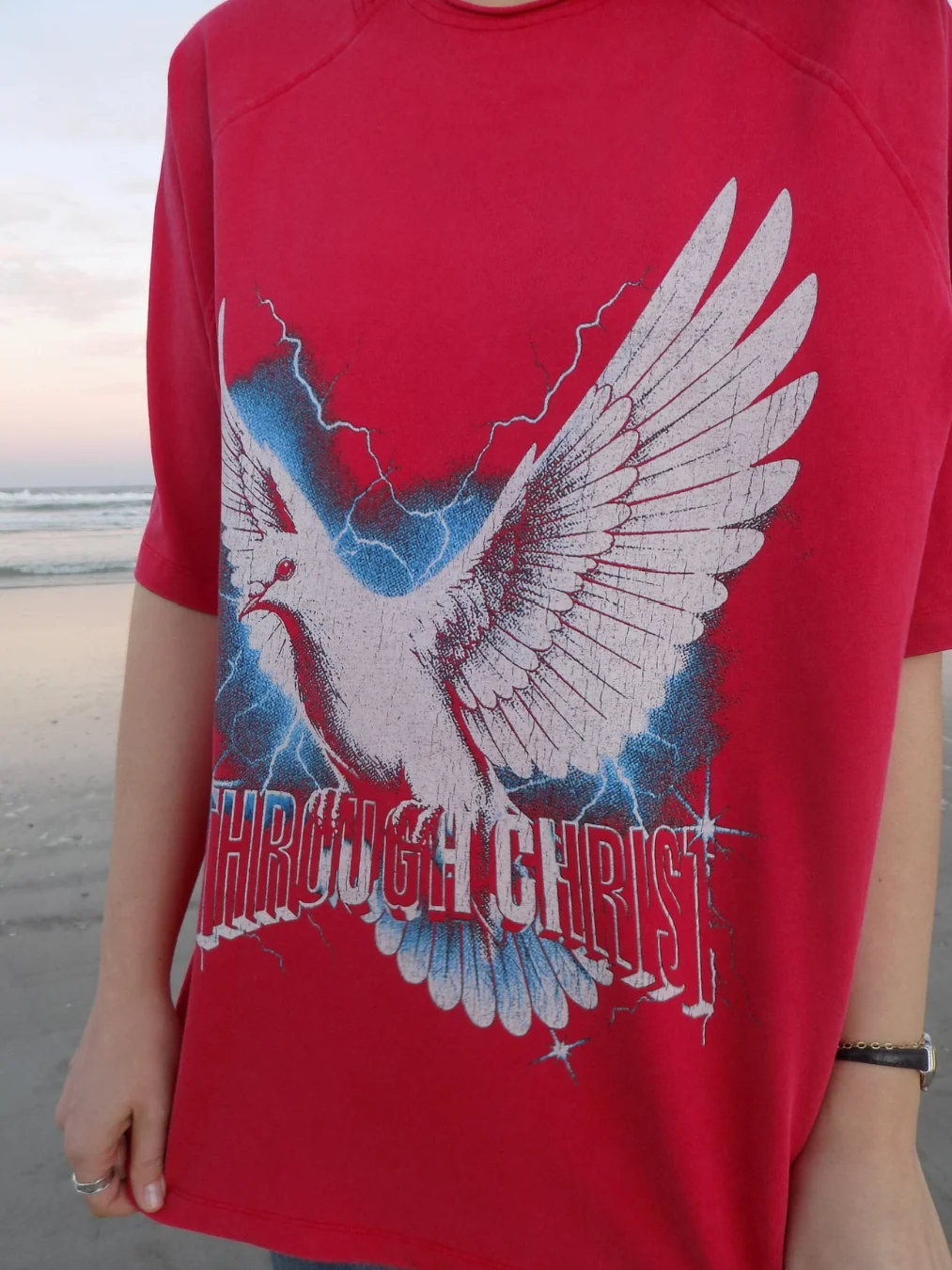 Through Christ Dove Tee product image (5)
