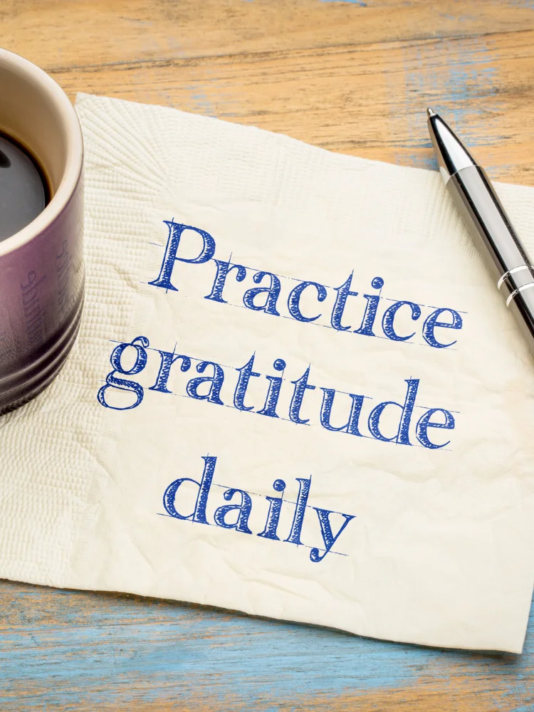 30-Day Gratitude Challenge product image (1)