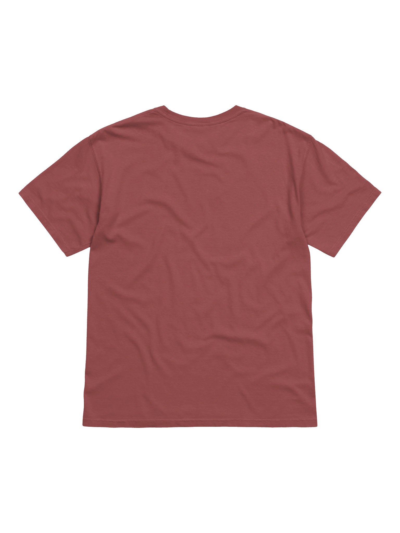 Bracco Tuesdays T-Shirt(Embroidered) of a Bracco Italiano(Red & White) product image (5)