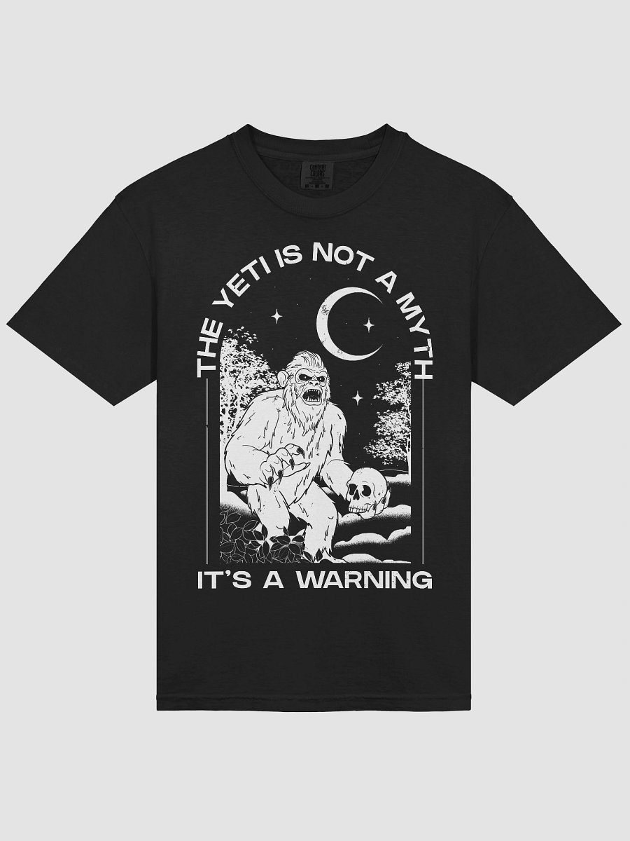 More than a Myth Graphic Tee product image (21)