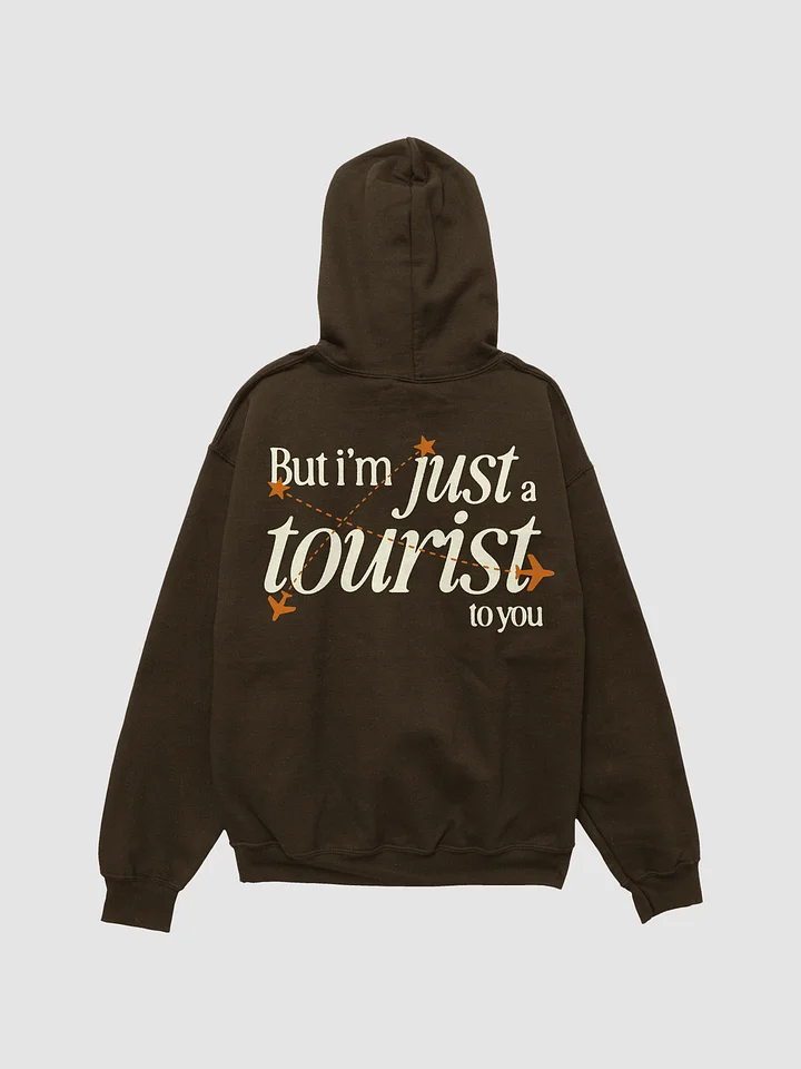 'HOMESICK' hoodie product image (2)